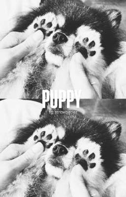 [0107] puppy