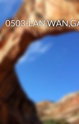 0503-LAN,WAN,GAN