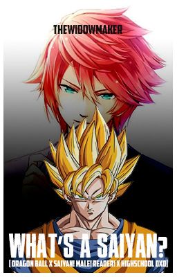 [1/2] What's a Saiyan? [DBZ x Male!Saiyan!Reader x DxD]