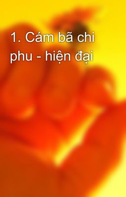 1. Cám bã chi phu - hiện đại