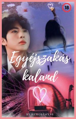 ✔️1. Egyéjszakás kaland 18+ (Jin OS)