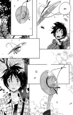 (1.) hanrae | textfic ✶ ngã cây đổ rừng 202 cái chuyện