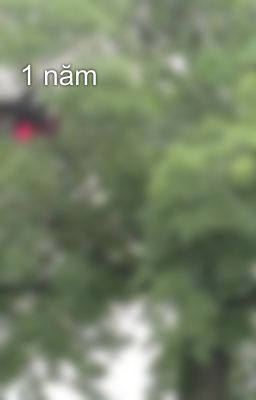1 năm