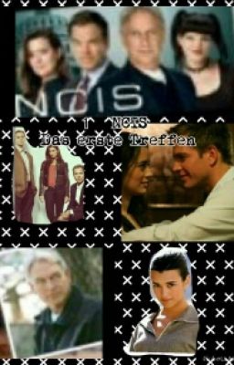 1   NCIS  tote Familie