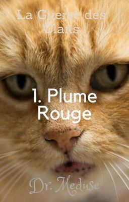 1. Plume Rouge