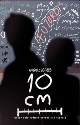 10 cm