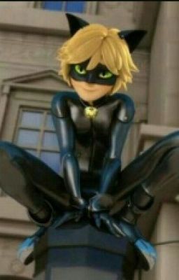 10 curiosidades de Cat Noir/Adrien de Miraculous