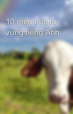 10 mẹo học từ vựng tiếng Anh