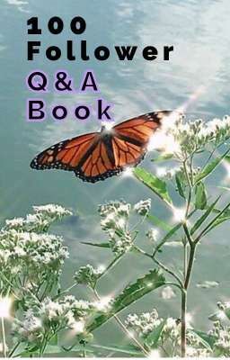 100 Follower Q&A book 