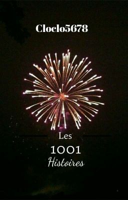 1001 histoires [EN PAUSE]