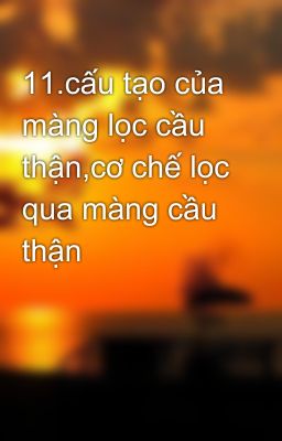 11.cấu tạo của màng lọc cầu thận,cơ chế lọc qua màng cầu thận