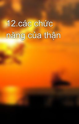 12.các chức năng của thận