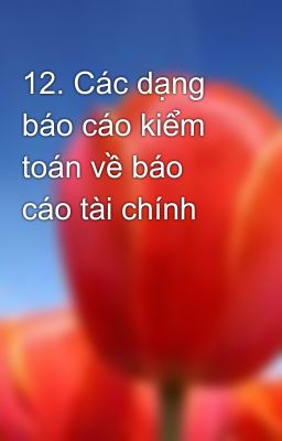 12. Các dạng báo cáo kiểm toán về báo cáo tài chính