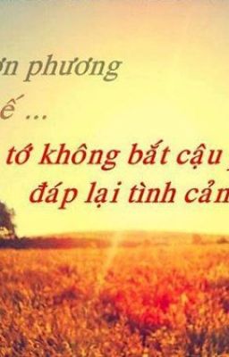 [12 chòm sao] Cuộc tình đáng lẽ không nên có