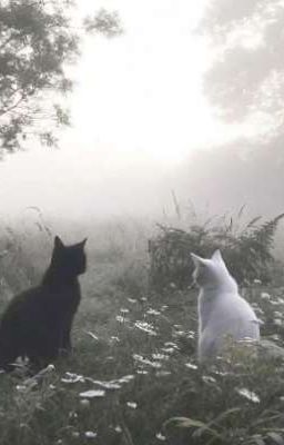 (12 chòm sao) (Textfic) Tình ca tình ta