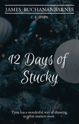 12 Days of Stucky