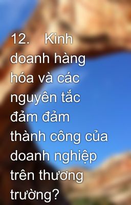 12.	Kinh doanh hàng hóa và các nguyên tắc đảm đảm thành công của doanh nghiệp trên thương trường?