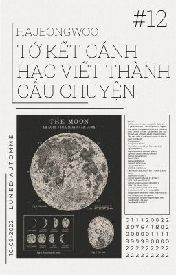 #12 - Tớ Kết Cánh Hạc Viết Thành Câu Chuyện [HAJEONGWOO]