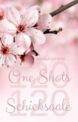 120 One Shots - 120 Schicksale