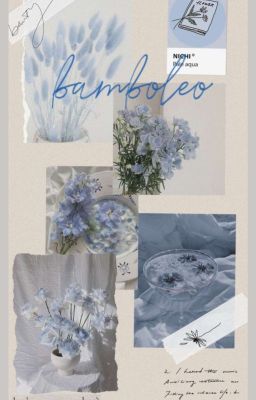 (12Cs)|bamboleo •~