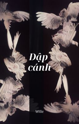 [12cs] Đập cánh