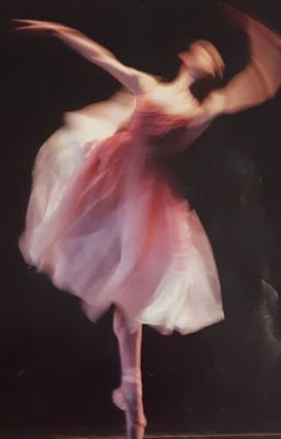 12cs | sylphide