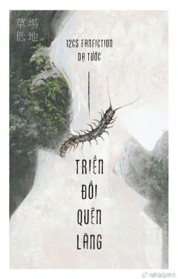 12CS | TRIỀN ĐỒI QUÊN LÃNG