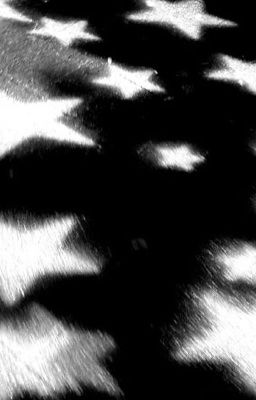 12cs⋆˚꩜.ᐟ collision