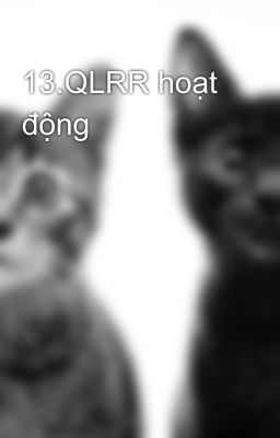 13.QLRR hoạt động