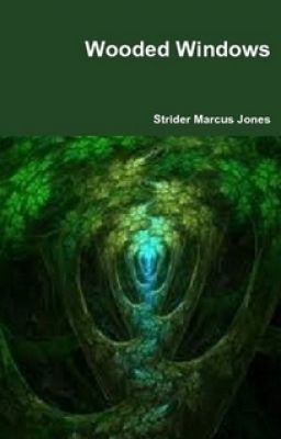 14 Poems From WOODED WINDOWS By Strider Marcus Jones