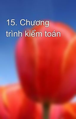 15. Chương trình kiểm toán