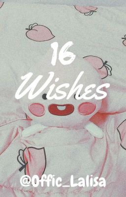 16 Wishes 