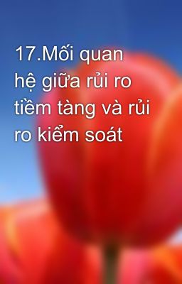 17.Mối quan hệ giữa rủi ro tiềm tàng và rủi ro kiểm soát