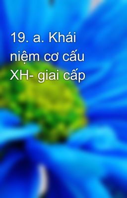 19. a. Khái niệm cơ cấu XH- giai cấp