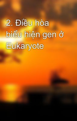 2. Điều hòa biểu hiện gen ở Eukaryote