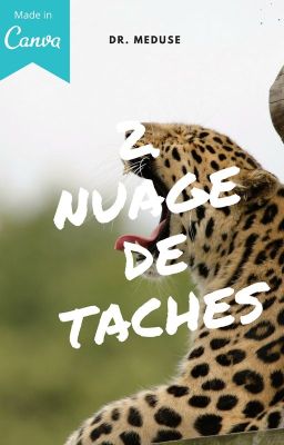 2. Nuage de Taches