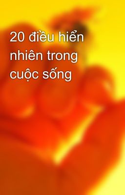 20 điều hiển nhiên trong cuộc sống