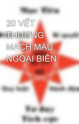 20 VẾT THƯƠNG MẠCH MÁU NGOẠI BIÊN