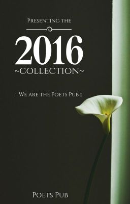 2016 collection