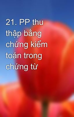 21. PP thu thập bằng chứng kiểm toán trong chứng từ