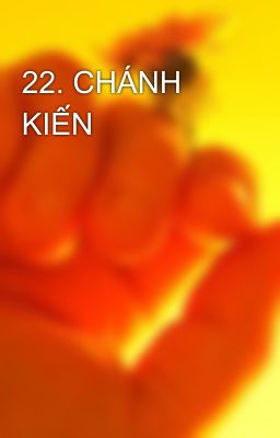 22. CHÁNH KIẾN