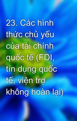 23. Các hình thức chủ yếu của tài chính quốc tế (FDI, tín dụng quốc tế, viện trợ không hoàn lại)