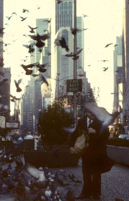 [2307] Mô-típ phòng số 9 