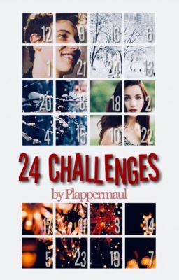 24 Challenges {Adventskalender}