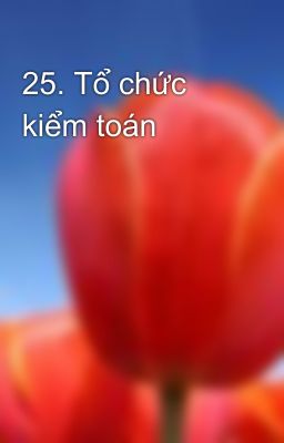 25. Tổ chức kiểm toán