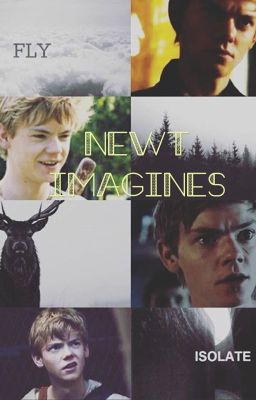 250 Newt imagines 