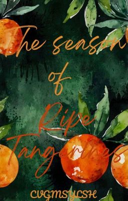 2suns | mùa quýt chín 