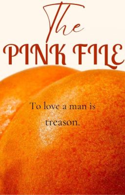 2suns | the pink file 