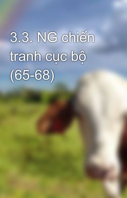 3.3. NG chiến tranh cục bộ  (65-68)