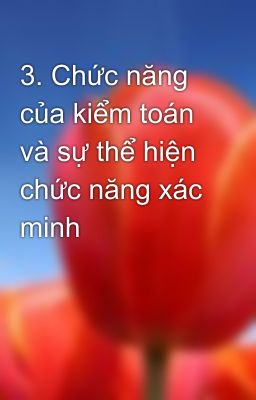 3. Chức năng của kiểm toán và sự thể hiện chức năng xác minh